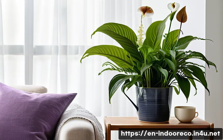 식물의 심리적 효과 관련 이미지 1